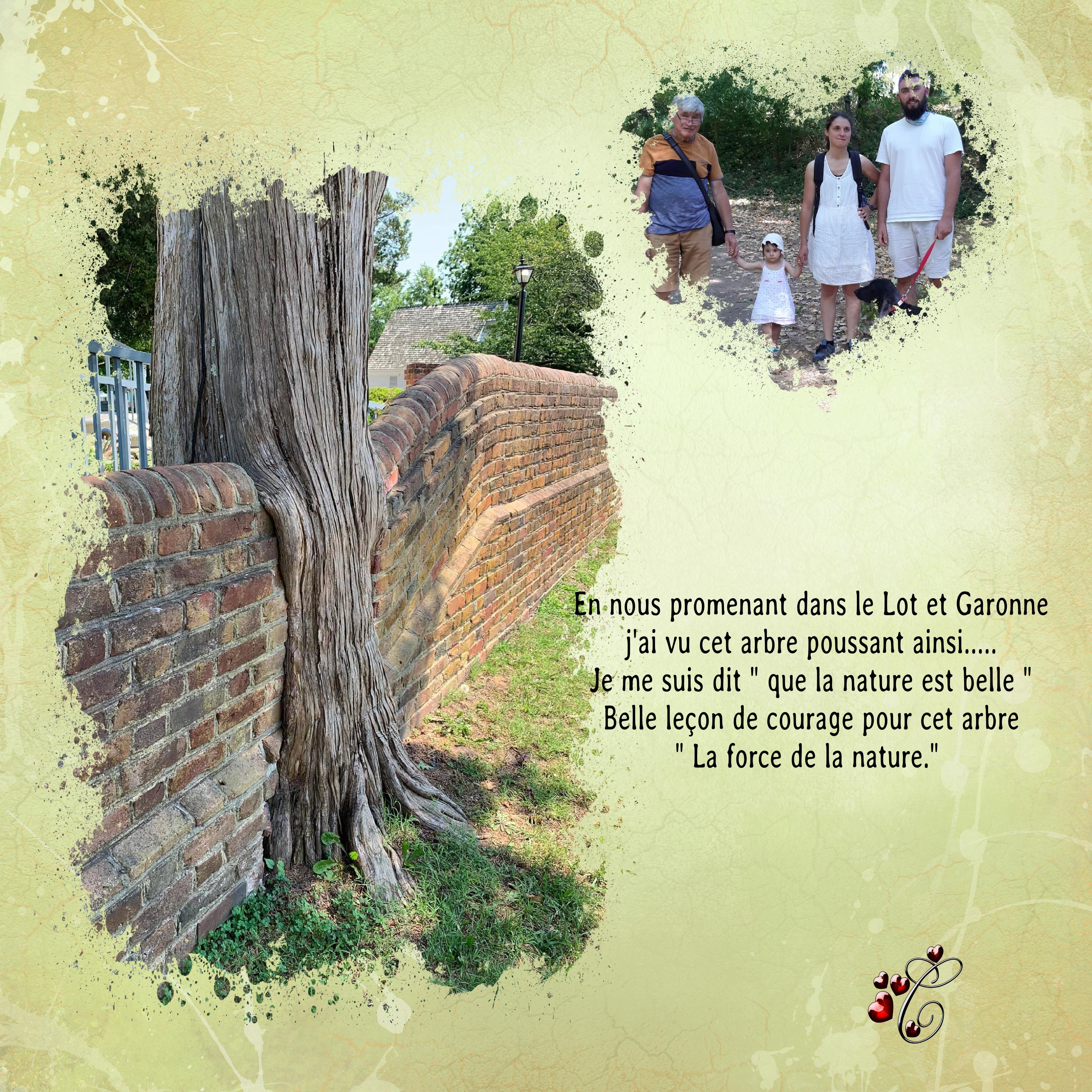 photo  insolite Christine