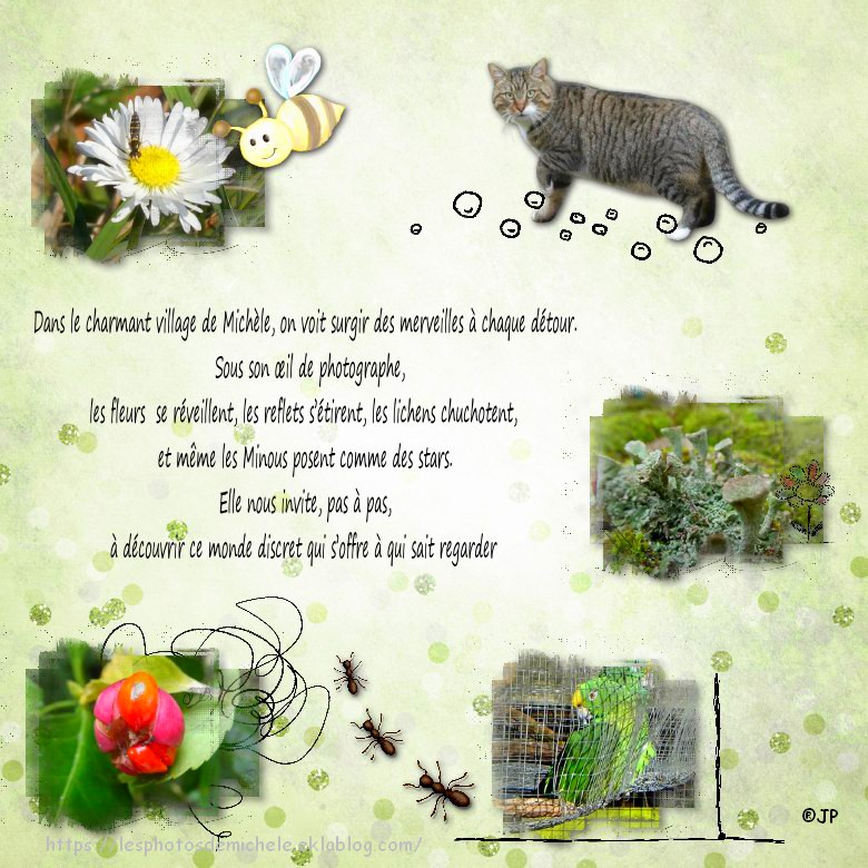 photo michelle Trin credit photo Michelle Trinckel.jpg