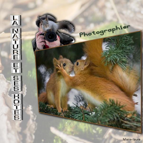 Photographier la nature et ses hôtes ....