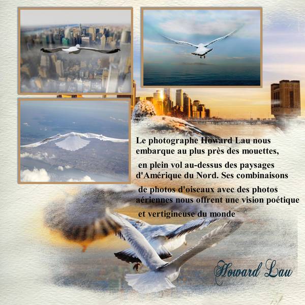 Photos de Howard Lau
