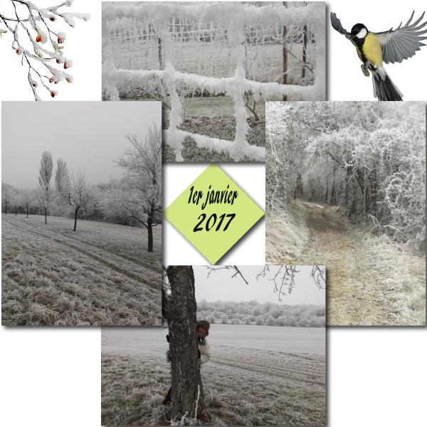 photos du 1er janvier 2017 .(3)