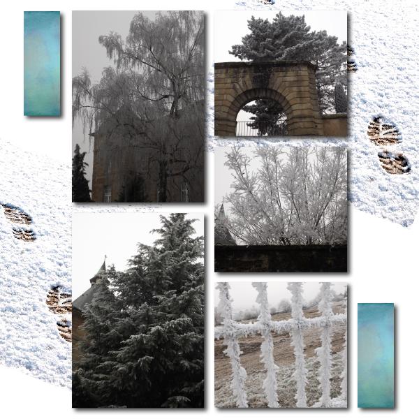 photos du 1er janvier 2017 .