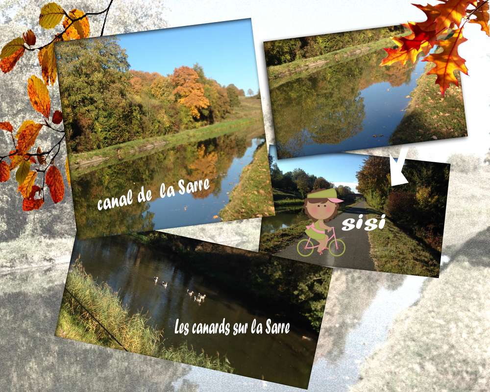 photos du jour 14 octobre