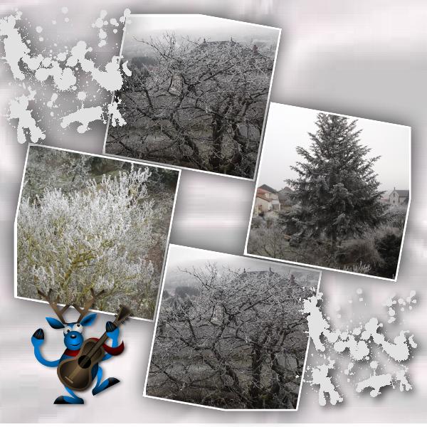 Photos du jour 31 12 2016