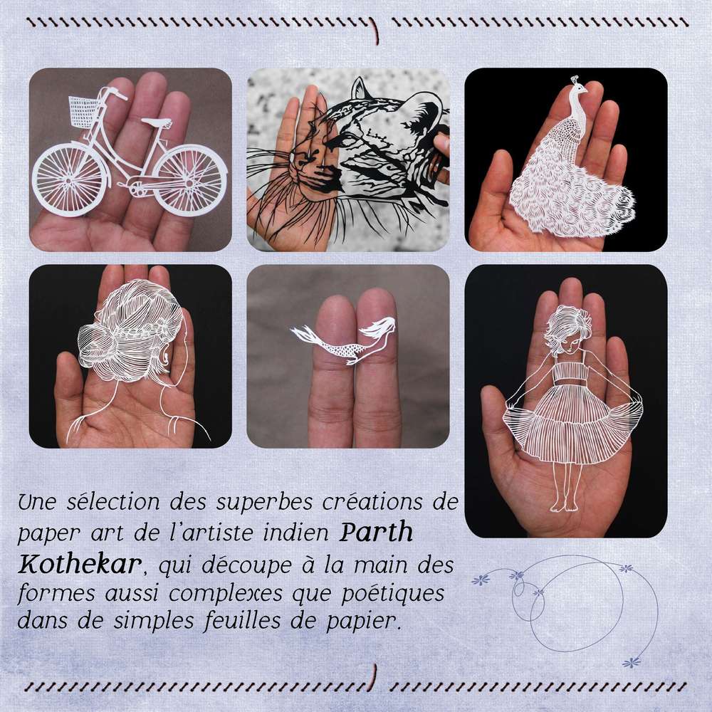 Photos du Net -découpes-