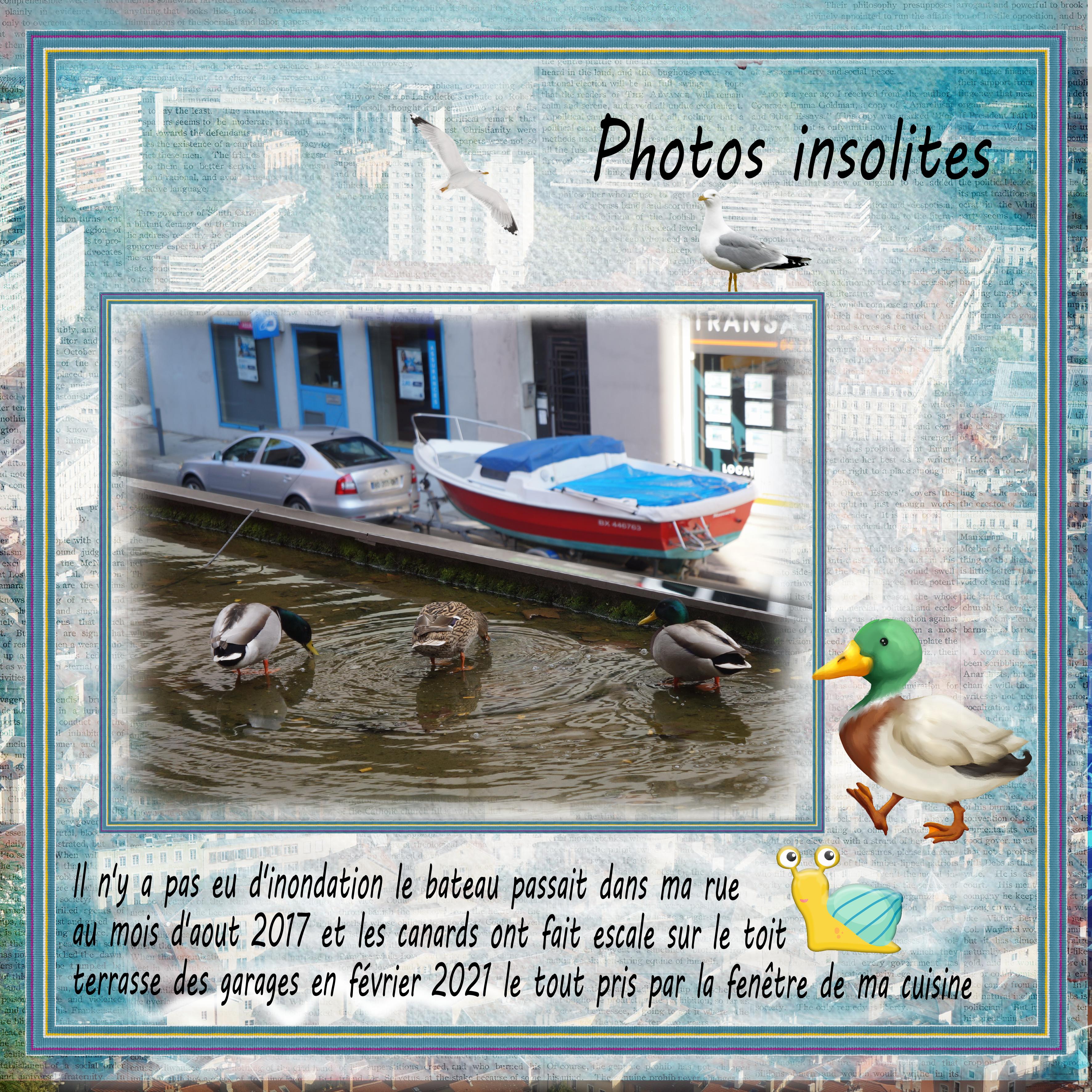 Photos insolites 2.jpg