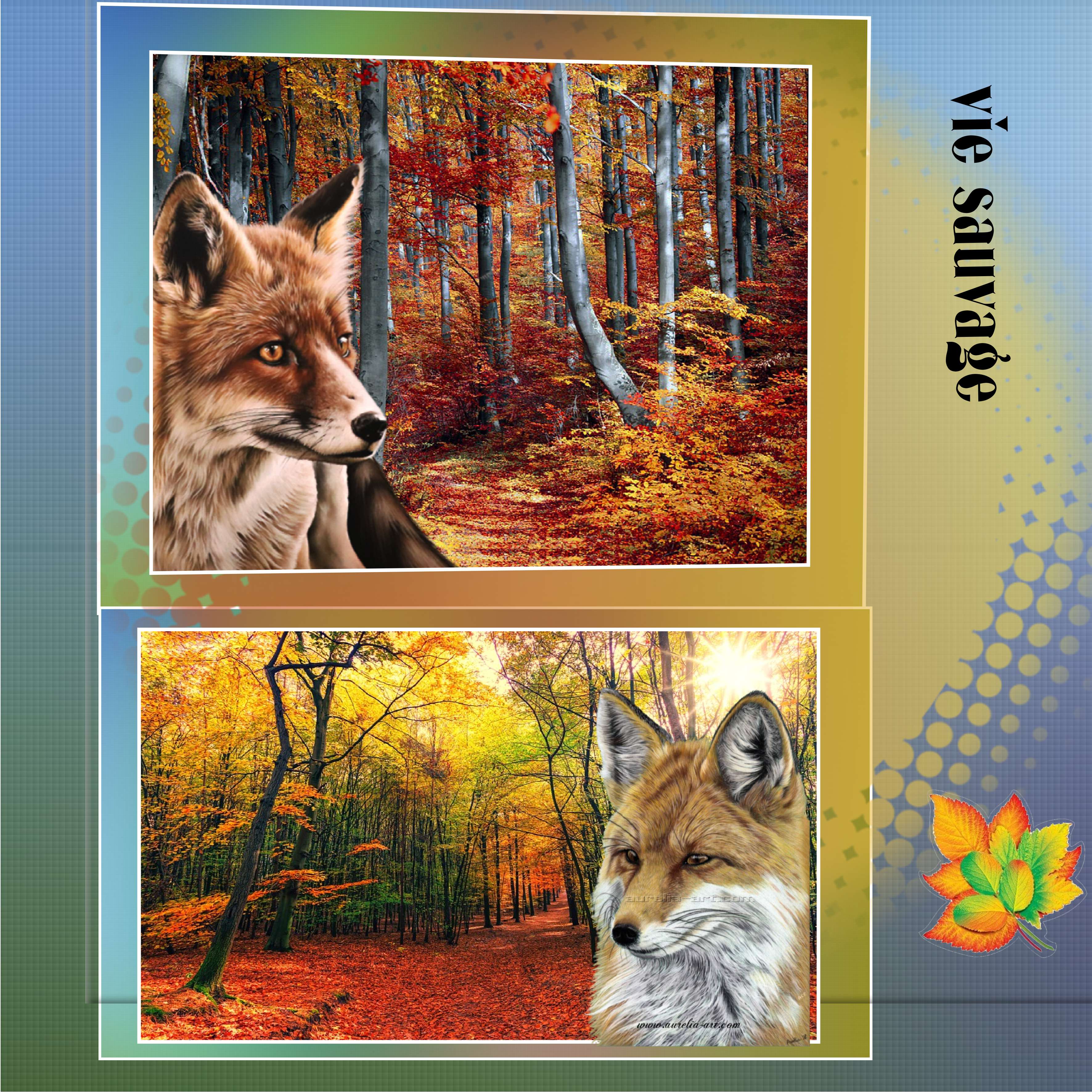 phrase verticale.jpg