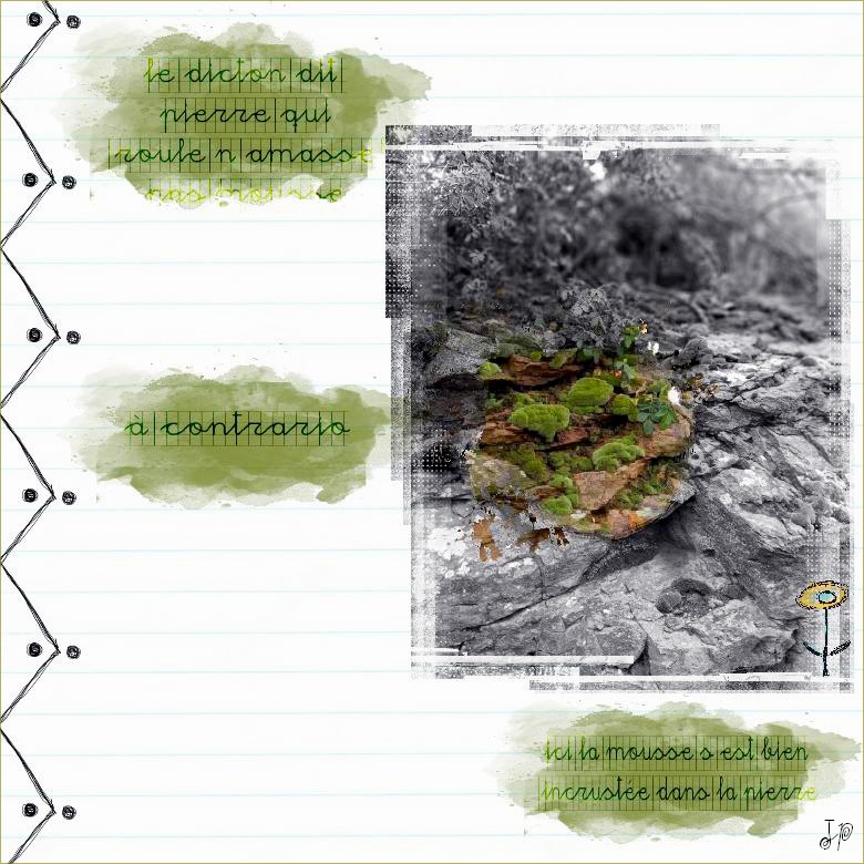 pierre qui roule.jpg