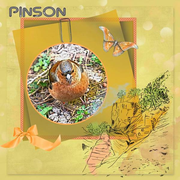 Pinson 3