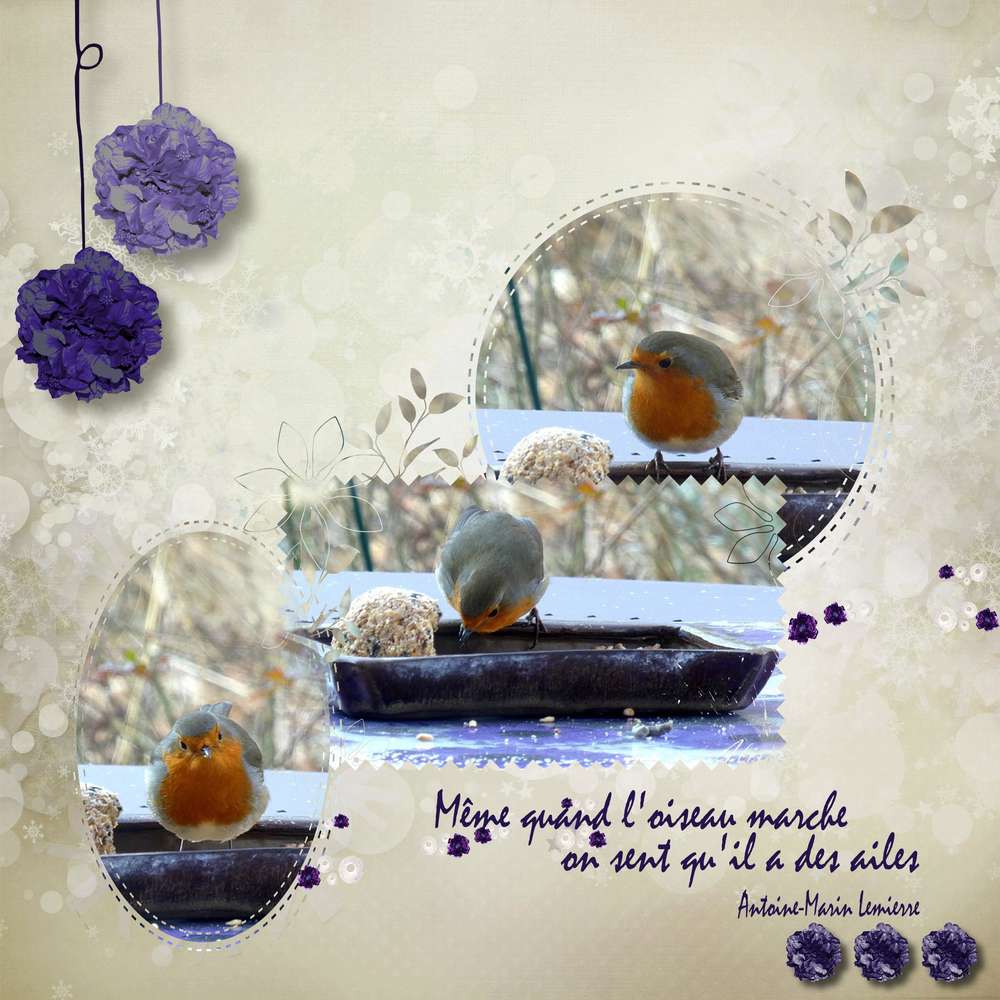 Pique nique du Rouge Gorge