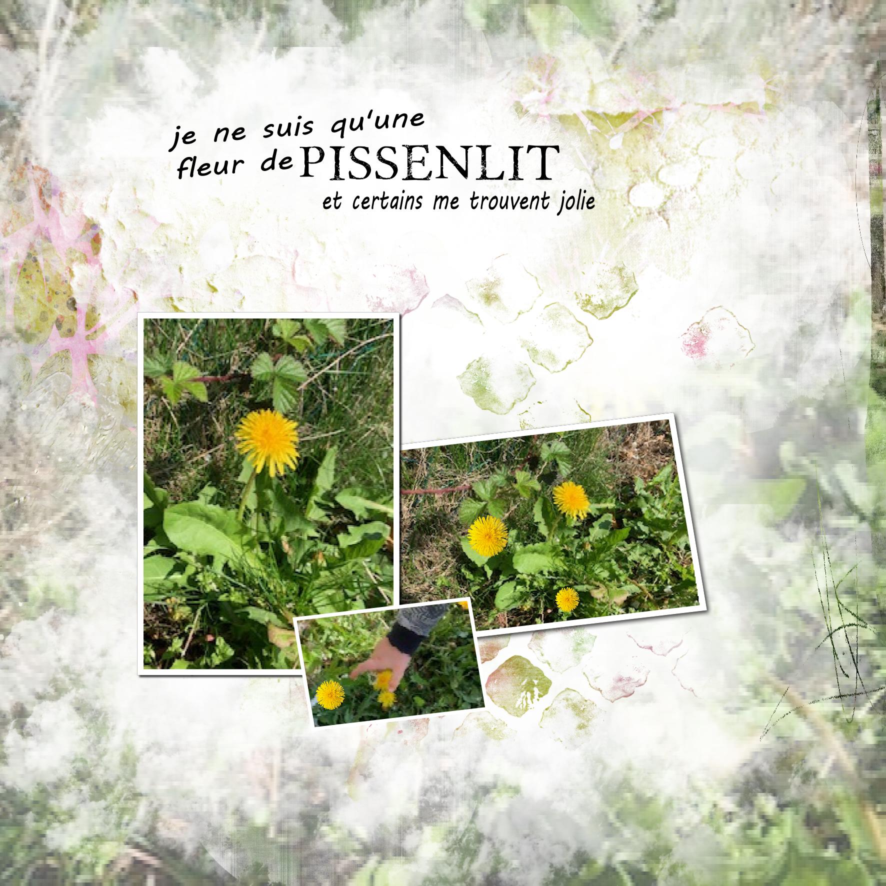 pissenlit.jpg