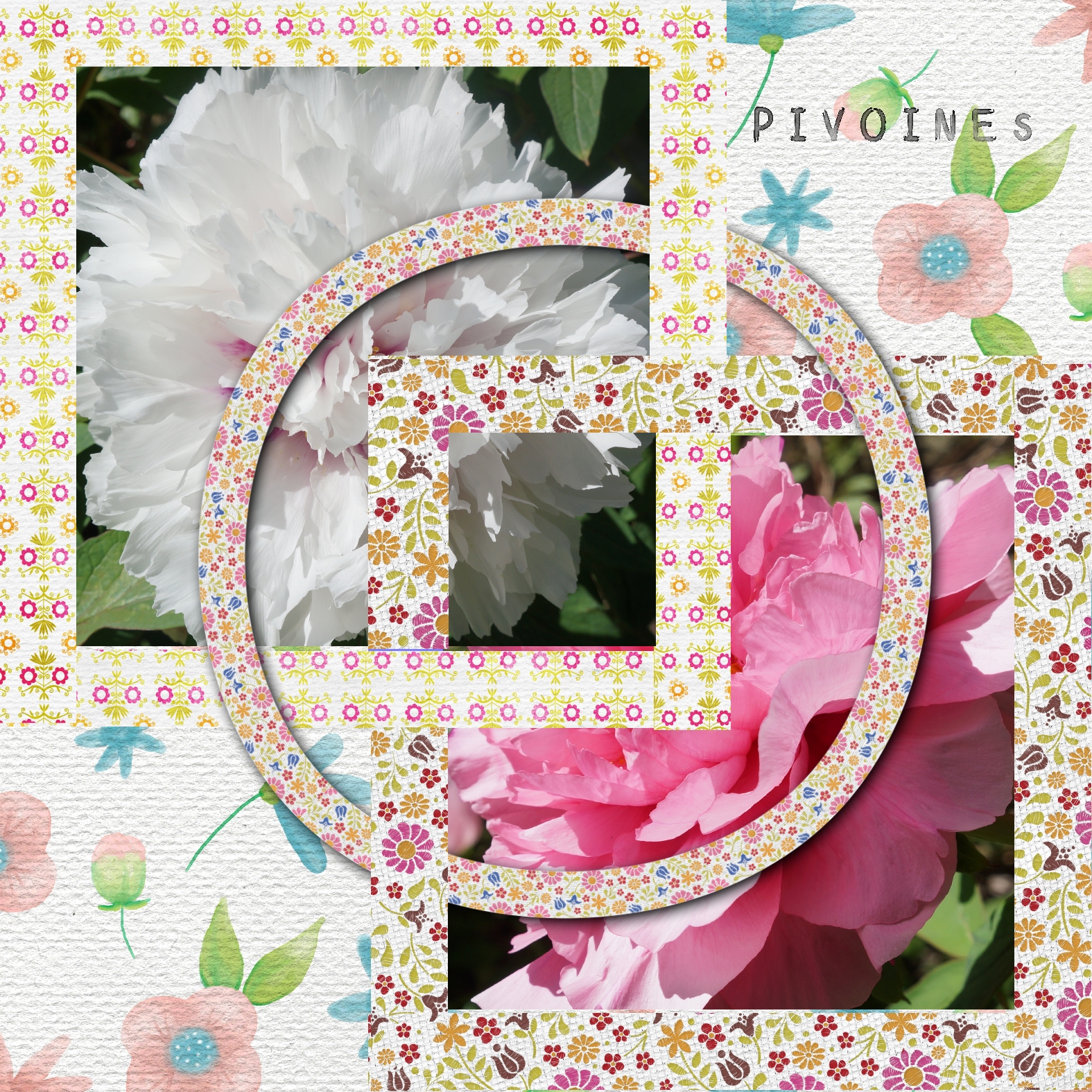 Pivoines  17 04 2021.jpg