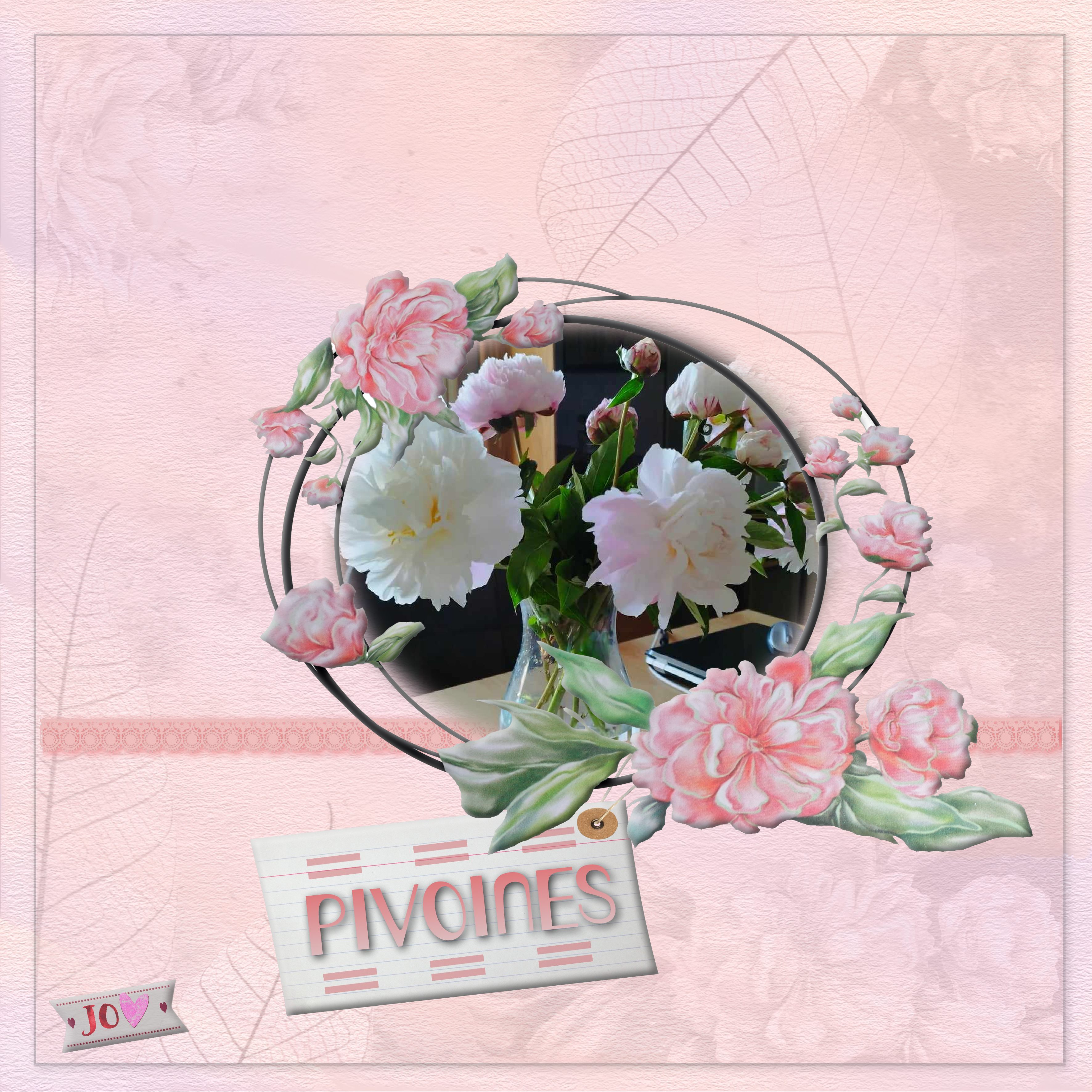 pivoines