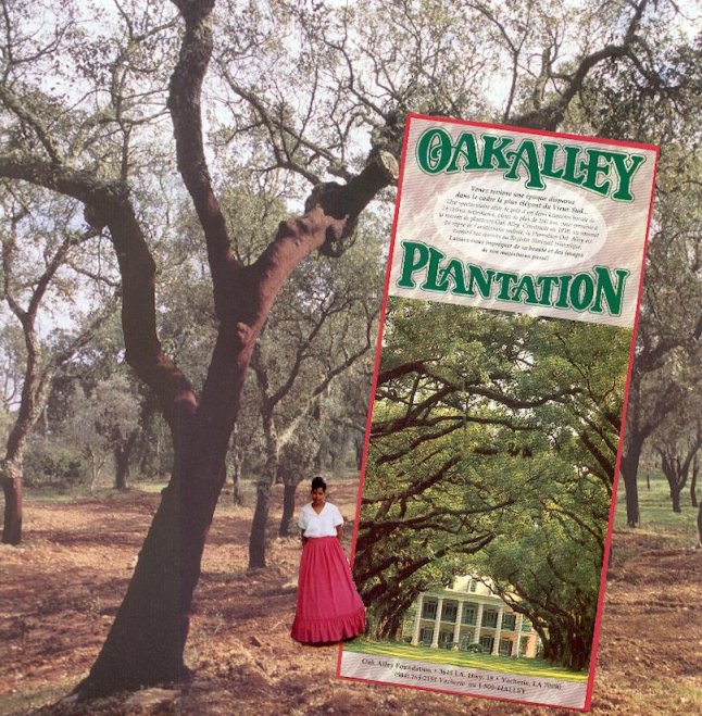 Plantation Oak Alley Gauche