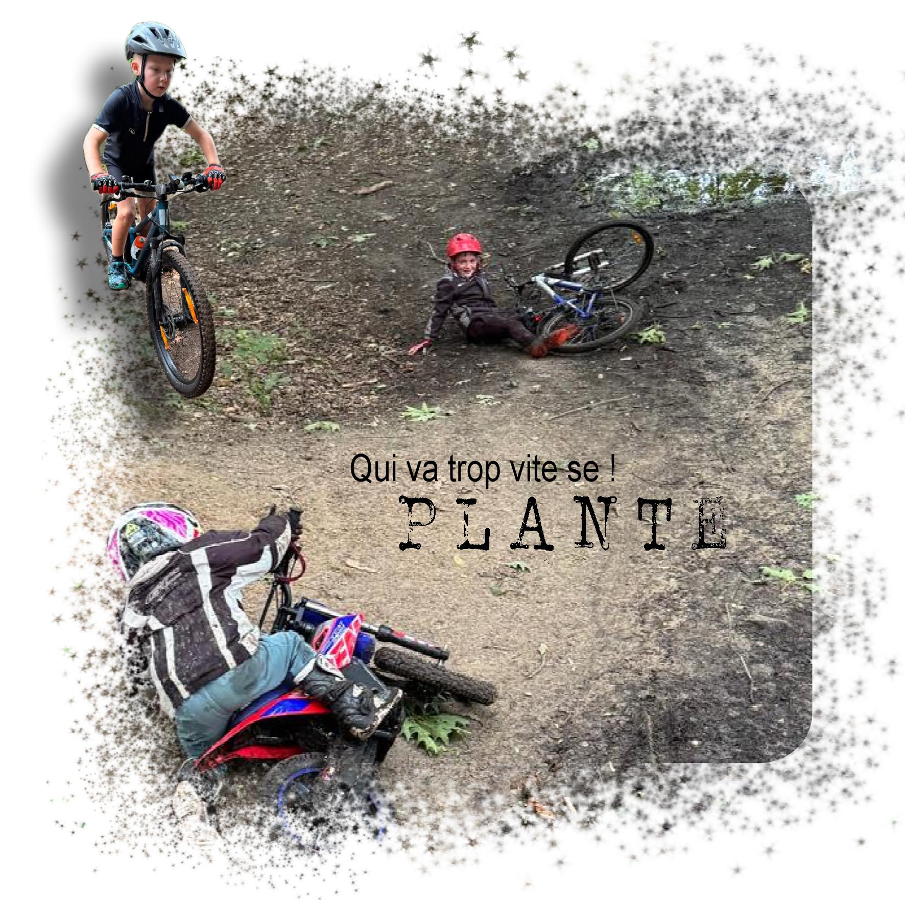 plante.jpg