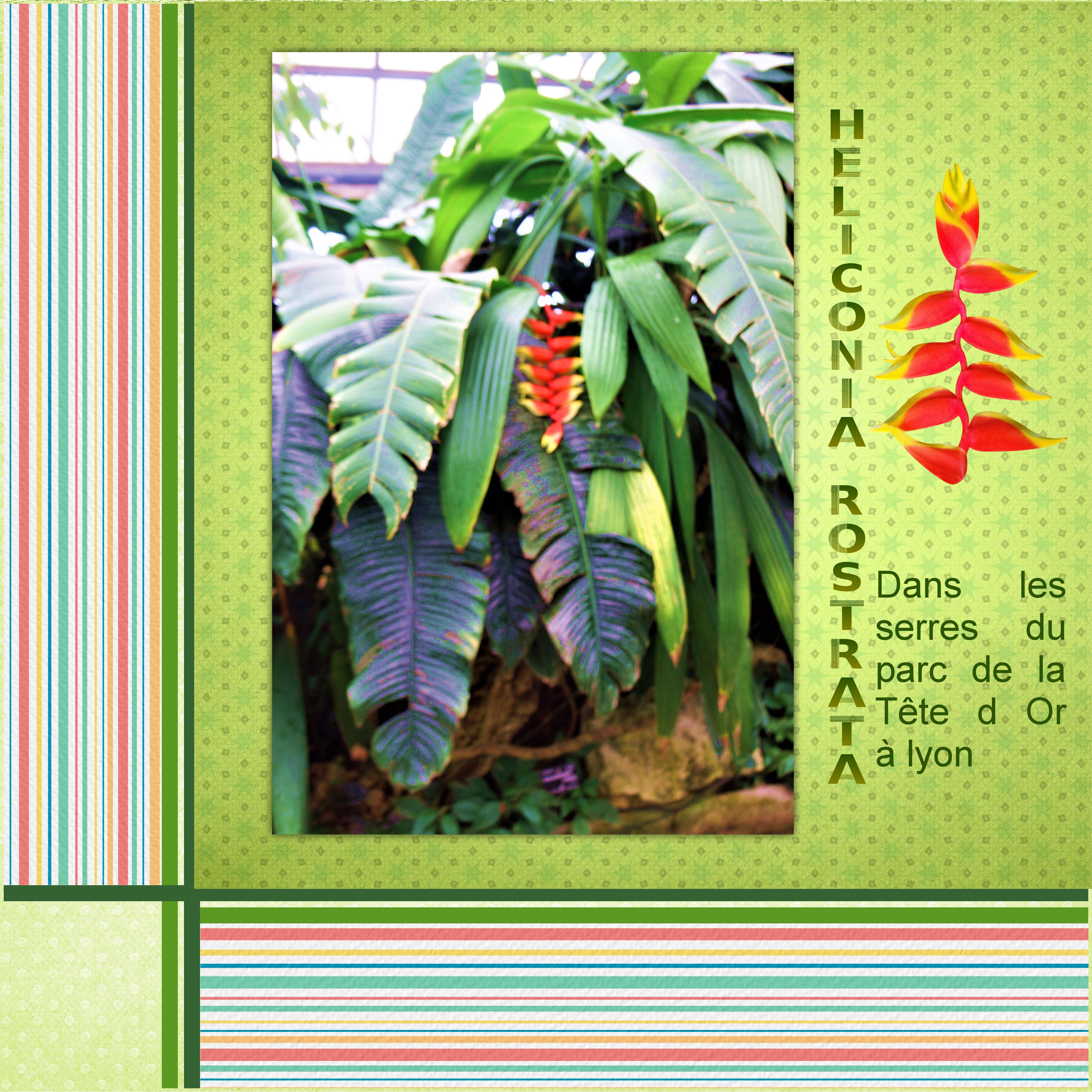 Plante scraptober.jpg