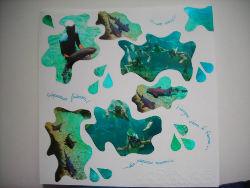 Plongée avec les requins à Puerto Plata