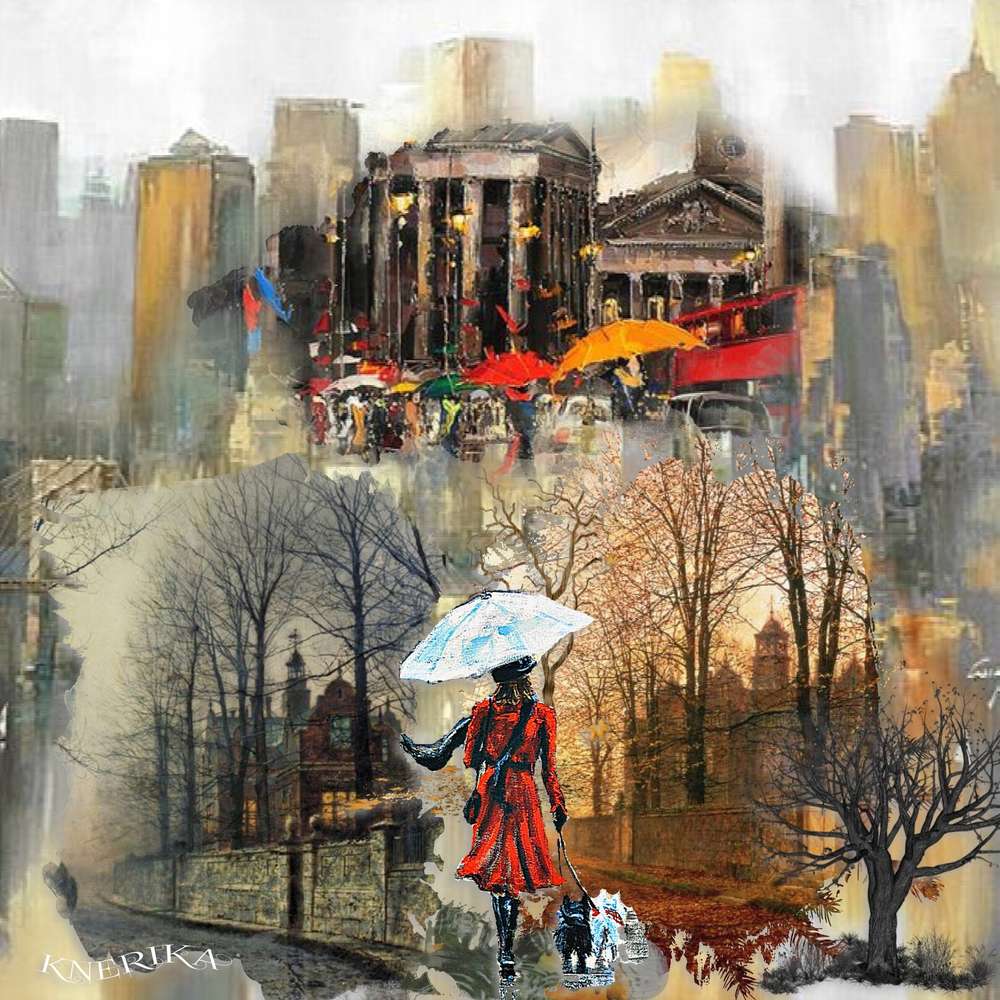 pluie_et_brouillard_du_12-05-19_OK__2_