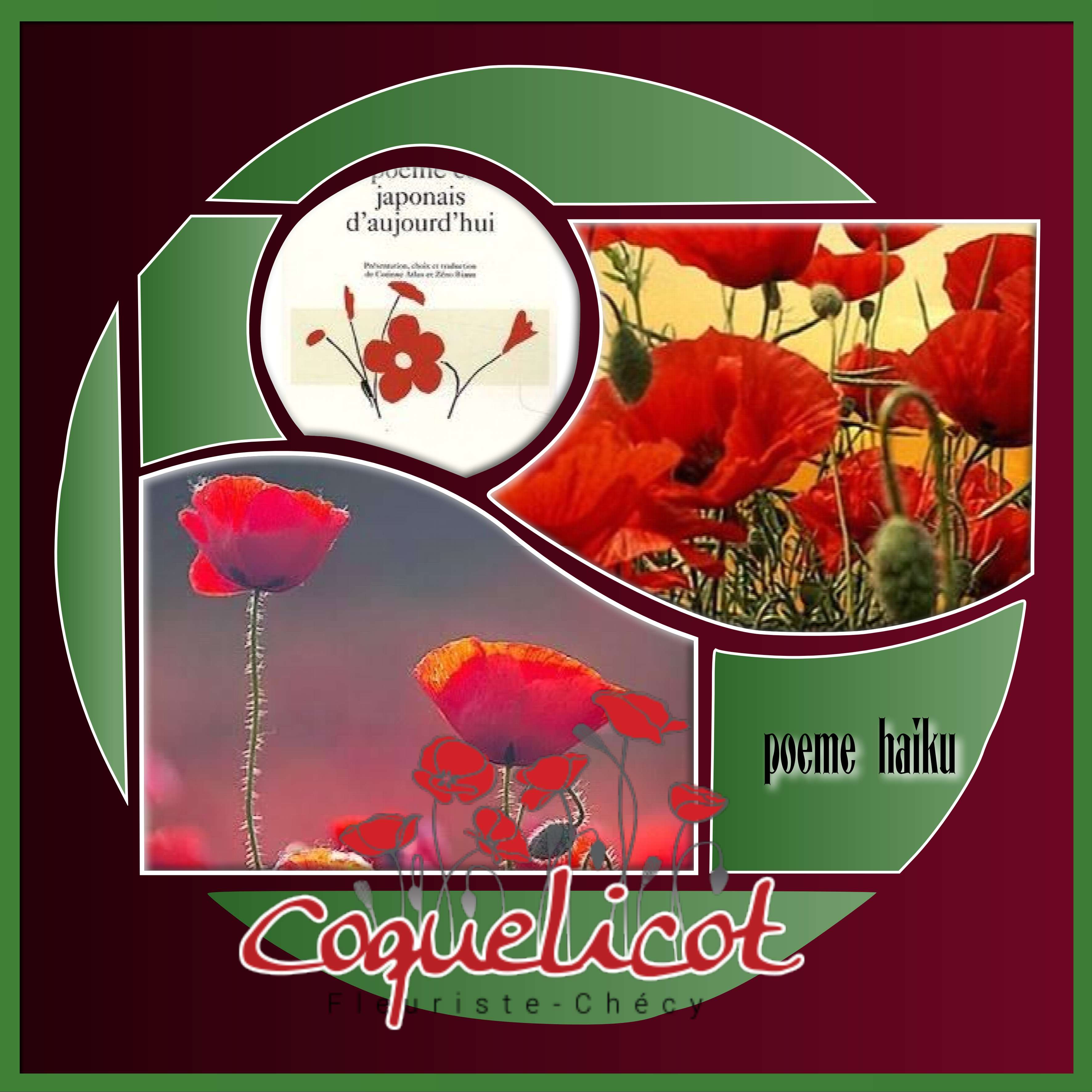 poeme haiku.jpg