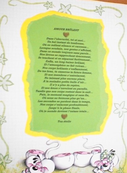 poème que j'ai réalisé pour mon DH