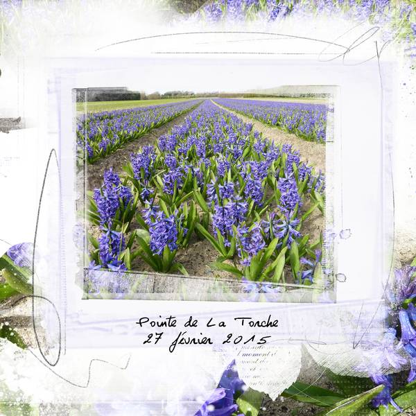 Pointe de La Torche 1