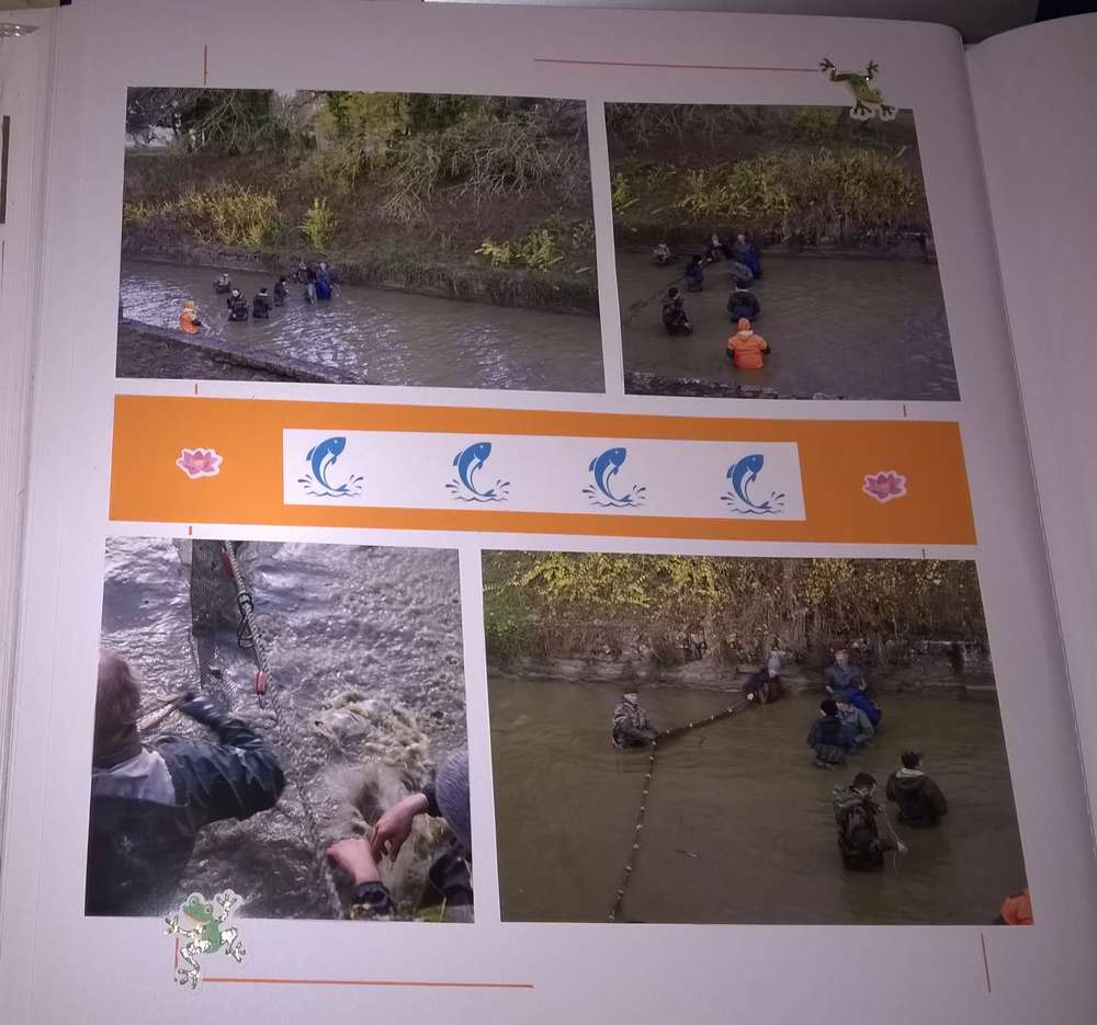 poissons dans le chenal