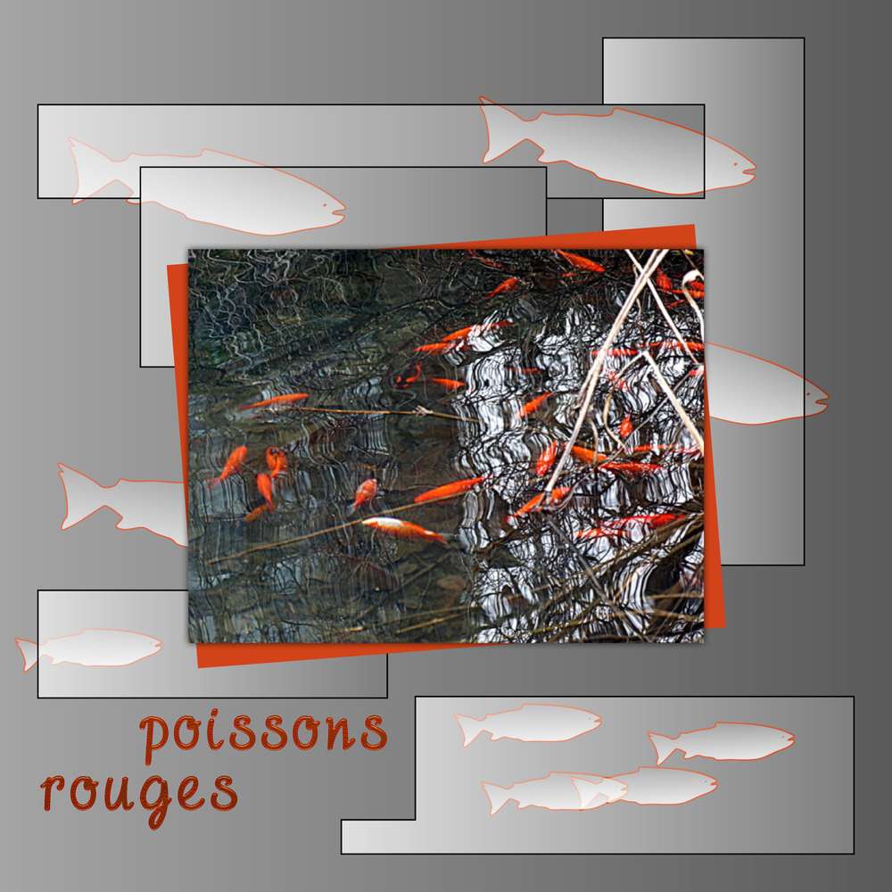 Poissons rouges