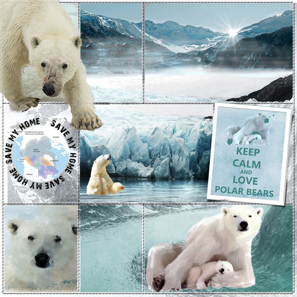 PolarBears-0.jpg