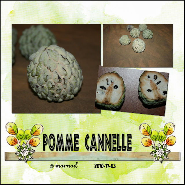 Pomme cannelle