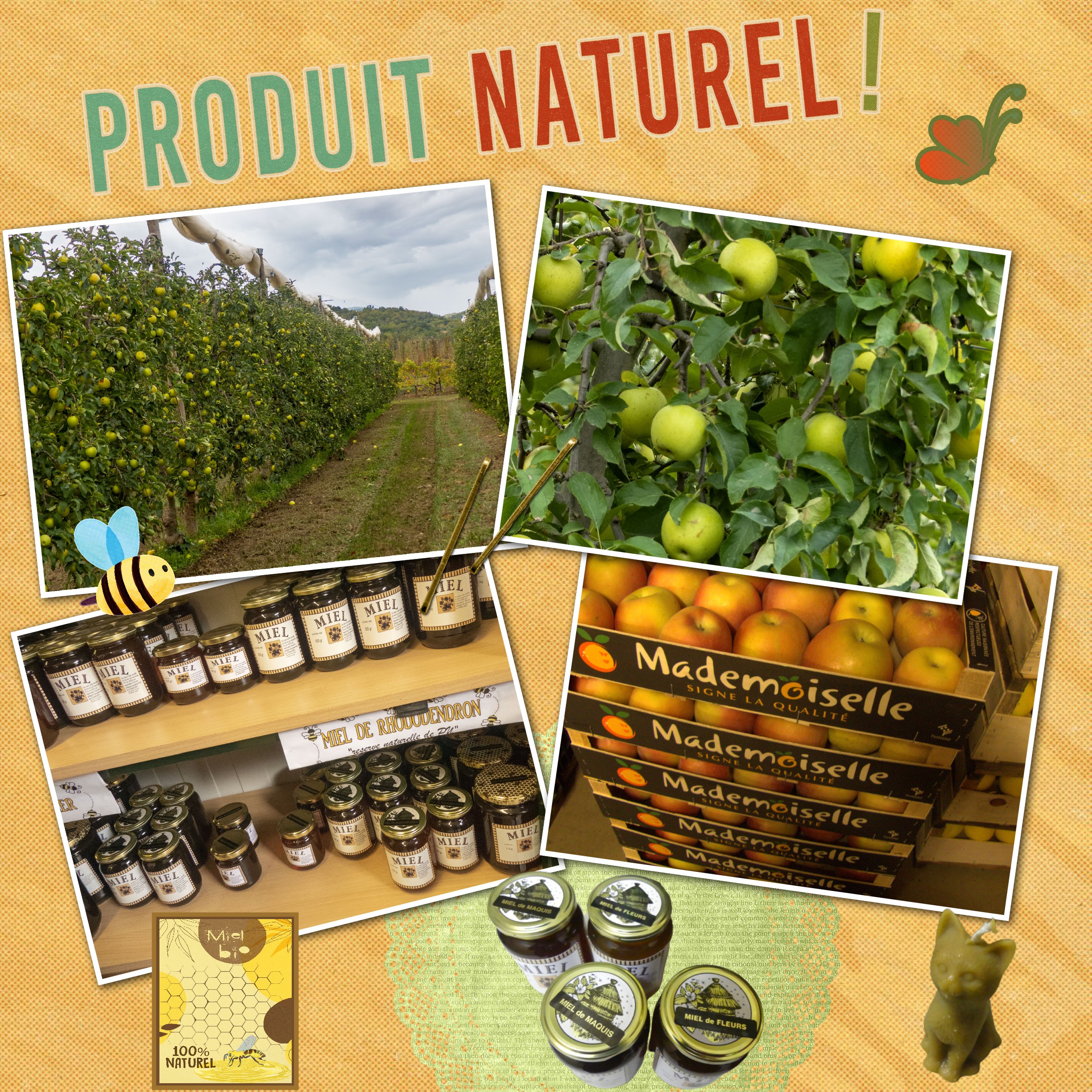 pomme miel ma ferme bio .jpg