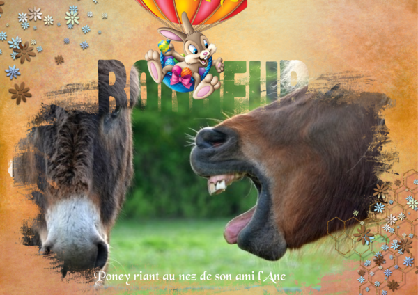 Poney_riant_au_nez_de_son_ami_l_Ane