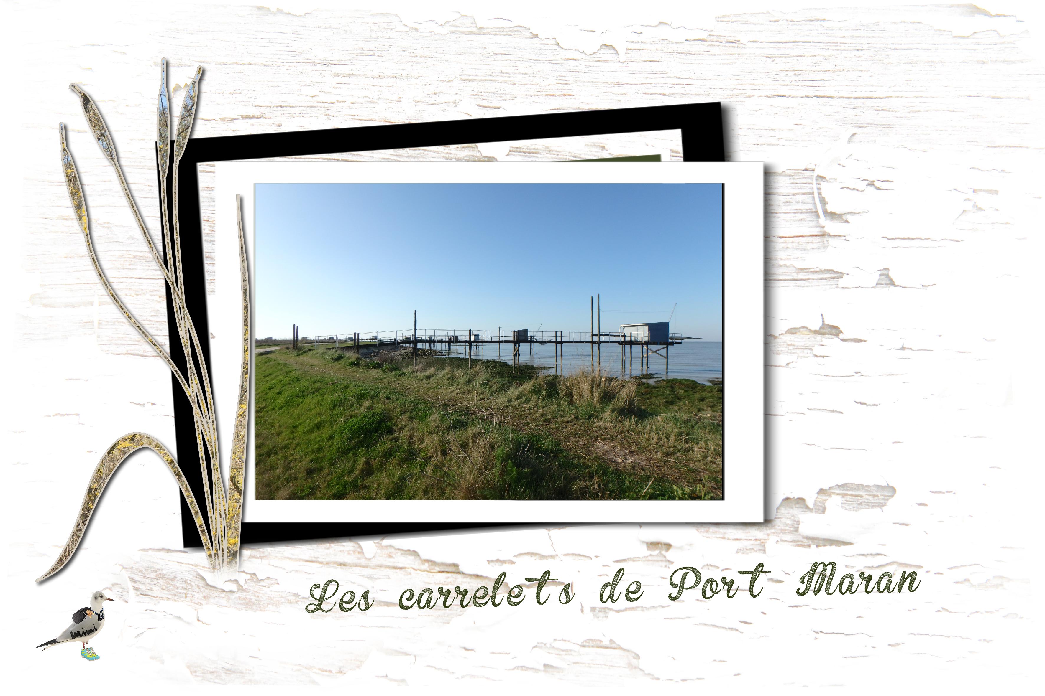 Port Maran-entre Meschers à Talmont- 24mars.jpg
