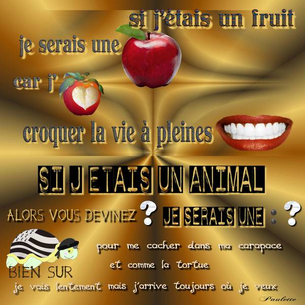 portrait chinois si j'étais