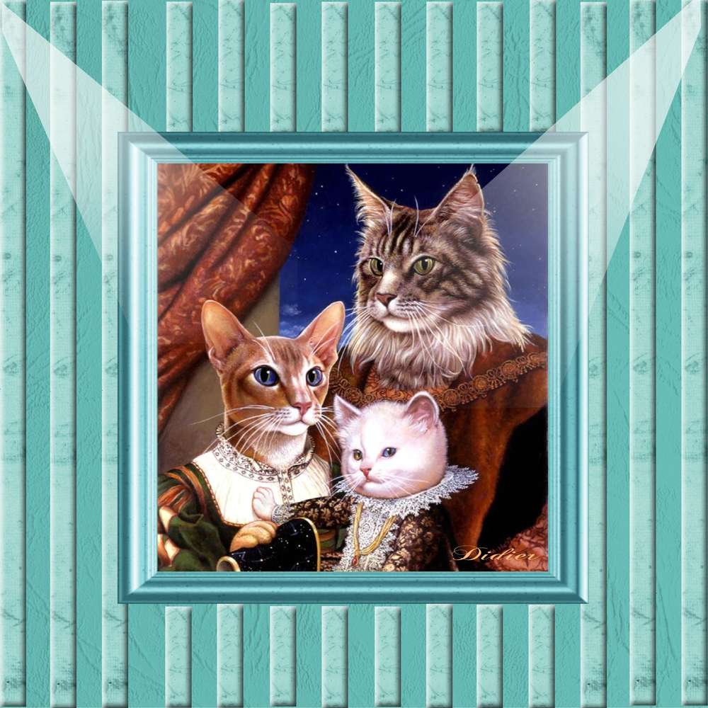 portrait de de la famille chat