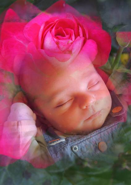 portrait deux photos