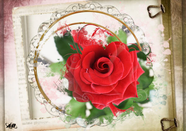 Pour apaiser ta journée Mélodie....