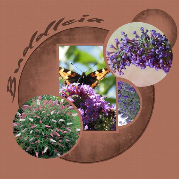 pour en finir avec le B !