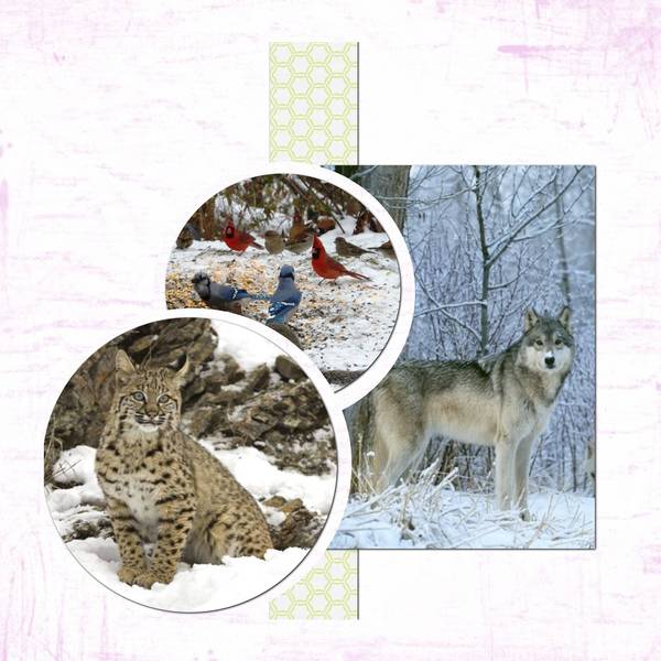 Pour en finir avec le froid