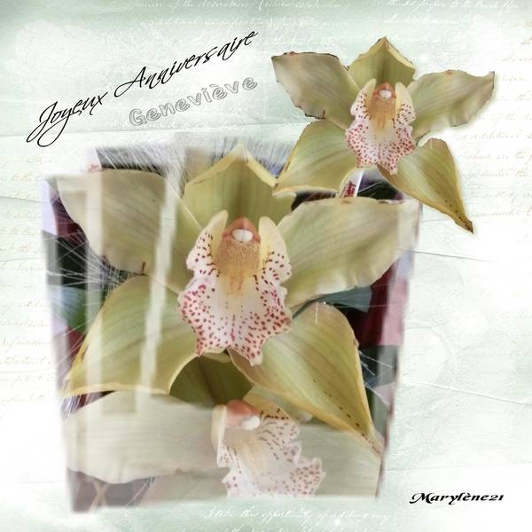 POUR GENEVIEVE ..LUTKA