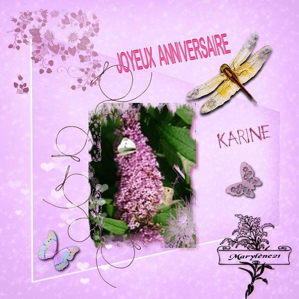 POUR KARINE SKINOPOST