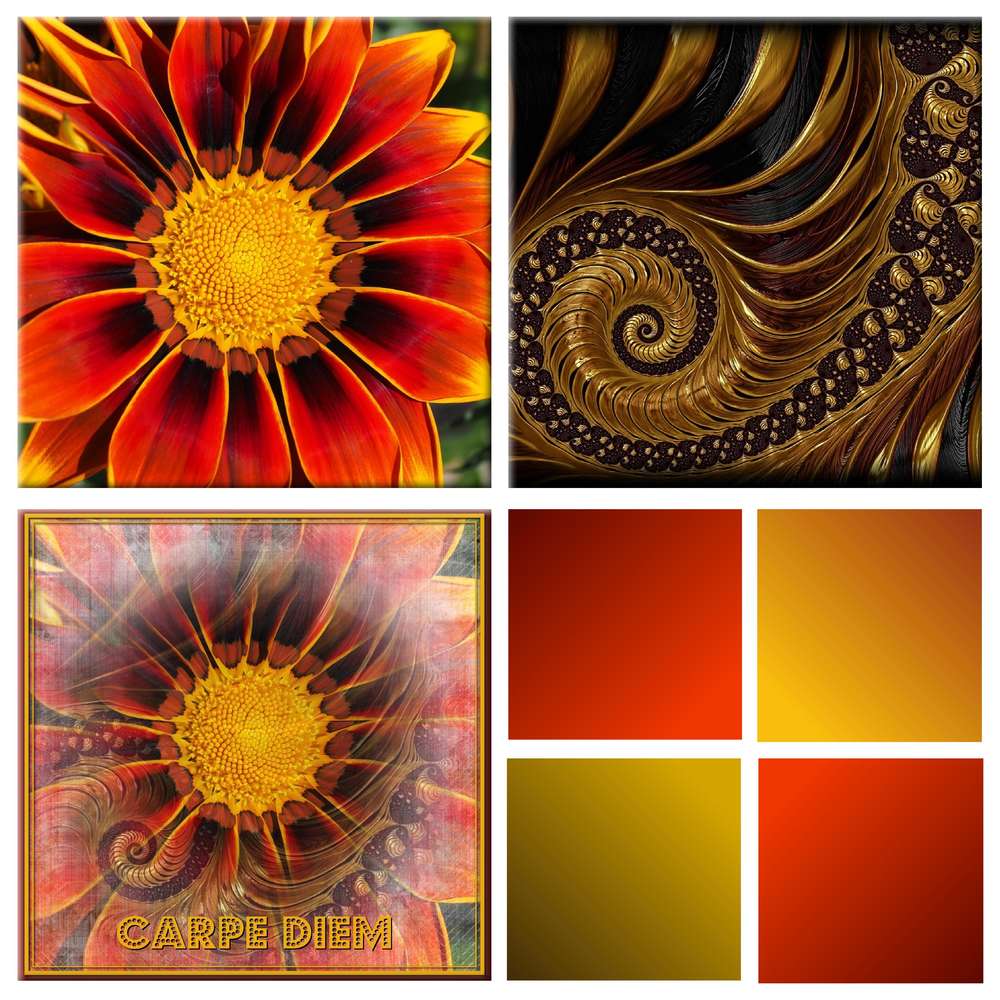 POUR LE PLAISIR : CARPE DIEM