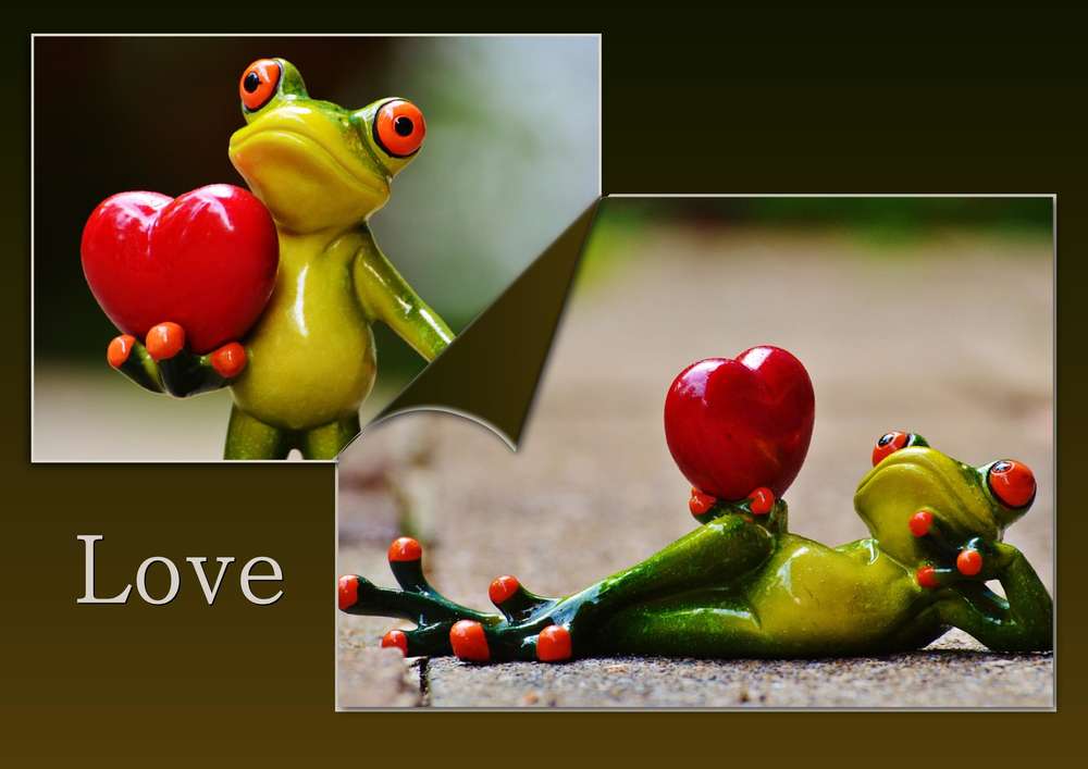 POUR LE PLAISIR - LOVE