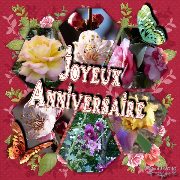 pour Nicole