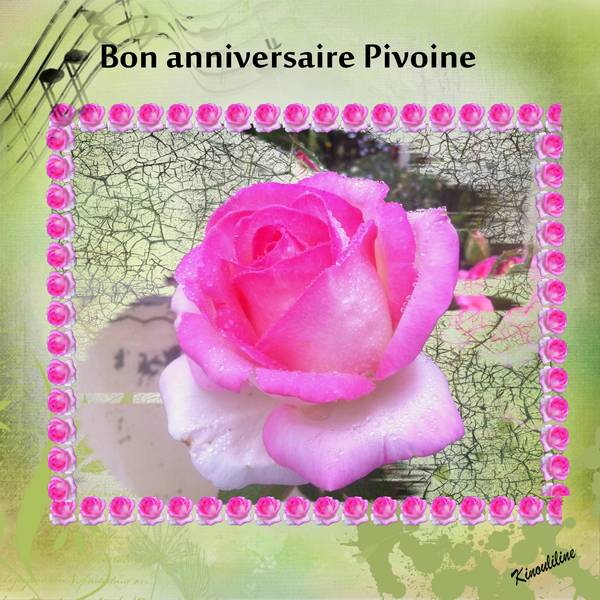 pour pivoine