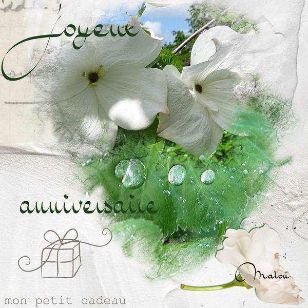 Pour Sandra (Petiote)