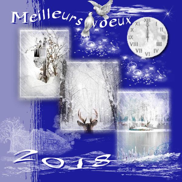 Pour toute la galerie meilleurs voeux