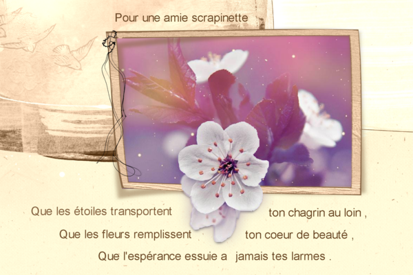 pour une amie scrapinette