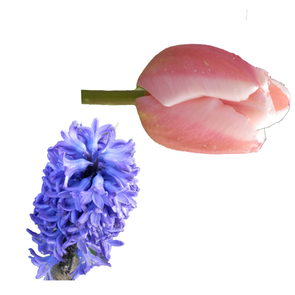 pour vous tous