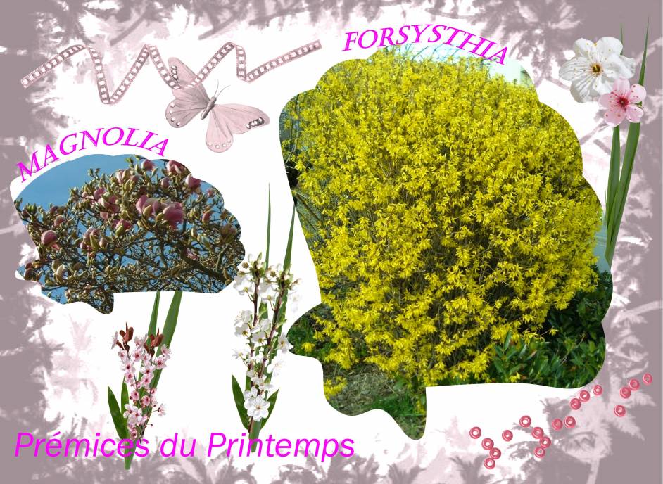 Prémices du Printemps