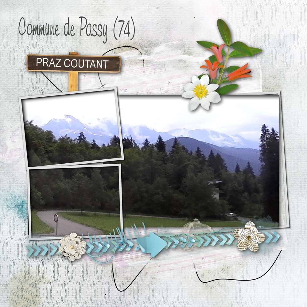 Praz_Coutant_commune_de_Passy